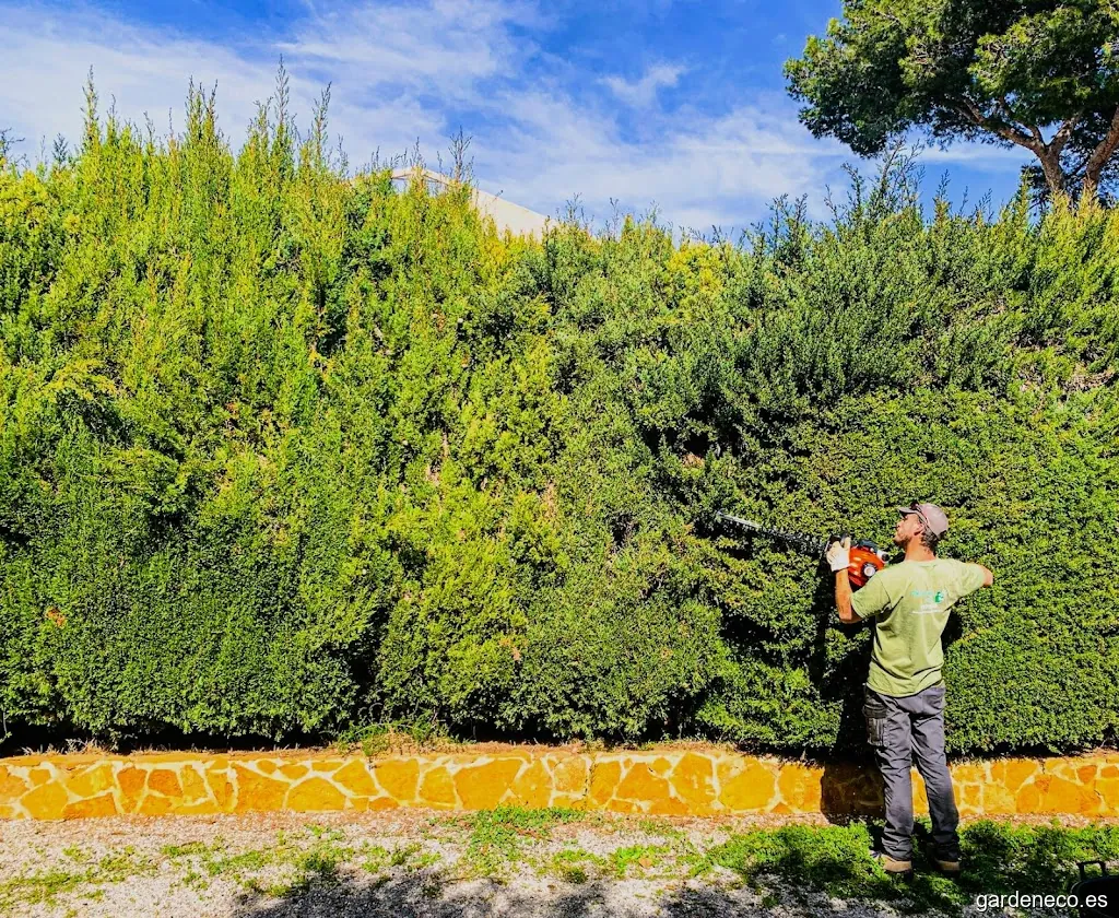 Mike's Garden Mallorca