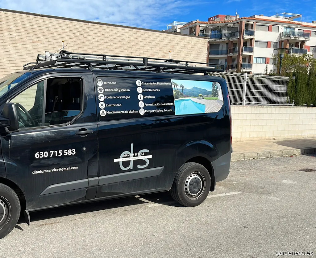 MultiServicios Dianium Service