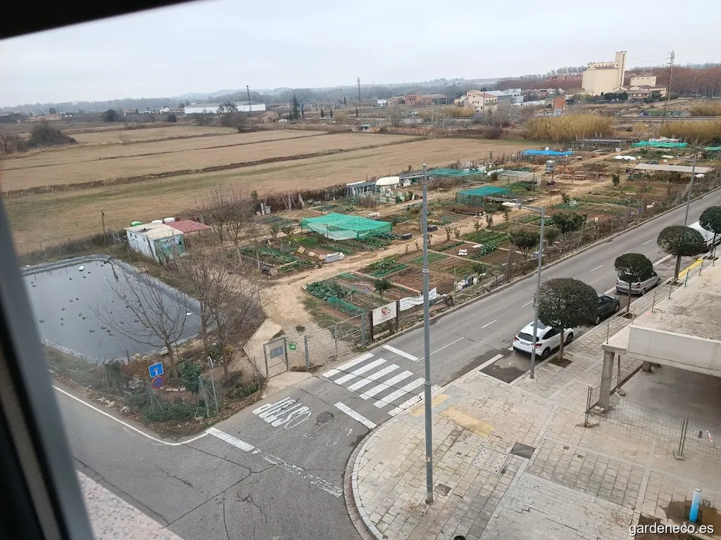 Huerto Municipal Pardinyes