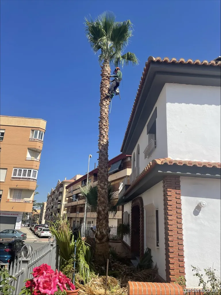 Jardinería NATURPREZA