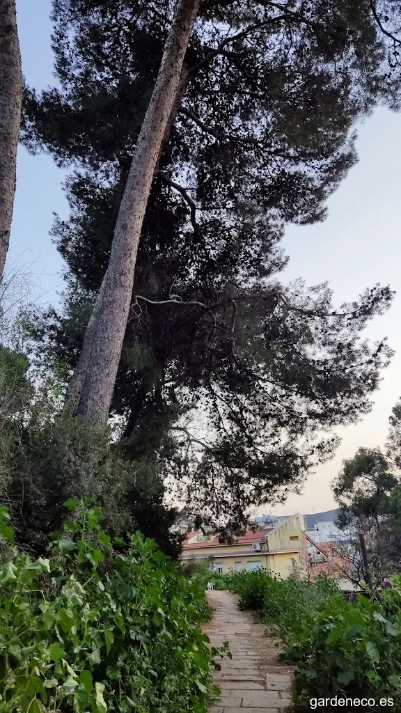 Jardines Cerro del Castillo