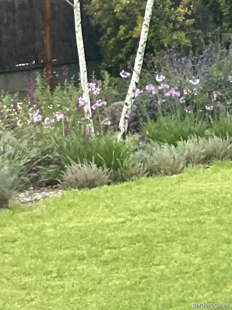 Marc Comas Jardineria