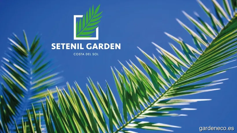Setenil Garden