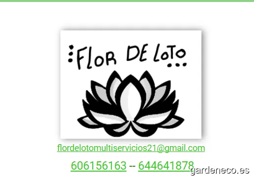 Flor de Loto Multiservicios 21