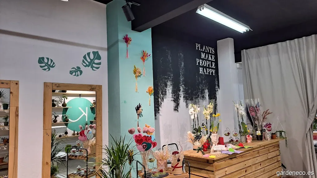 Kokedamus (floristeria i disseny)