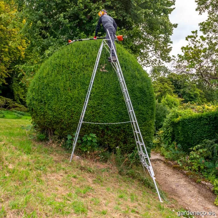 Agus Jardinería y Limpiezas