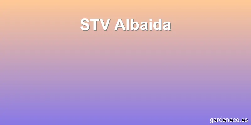 STV Albaida