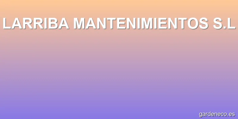LARRIBA MANTENIMIENTOS S.L