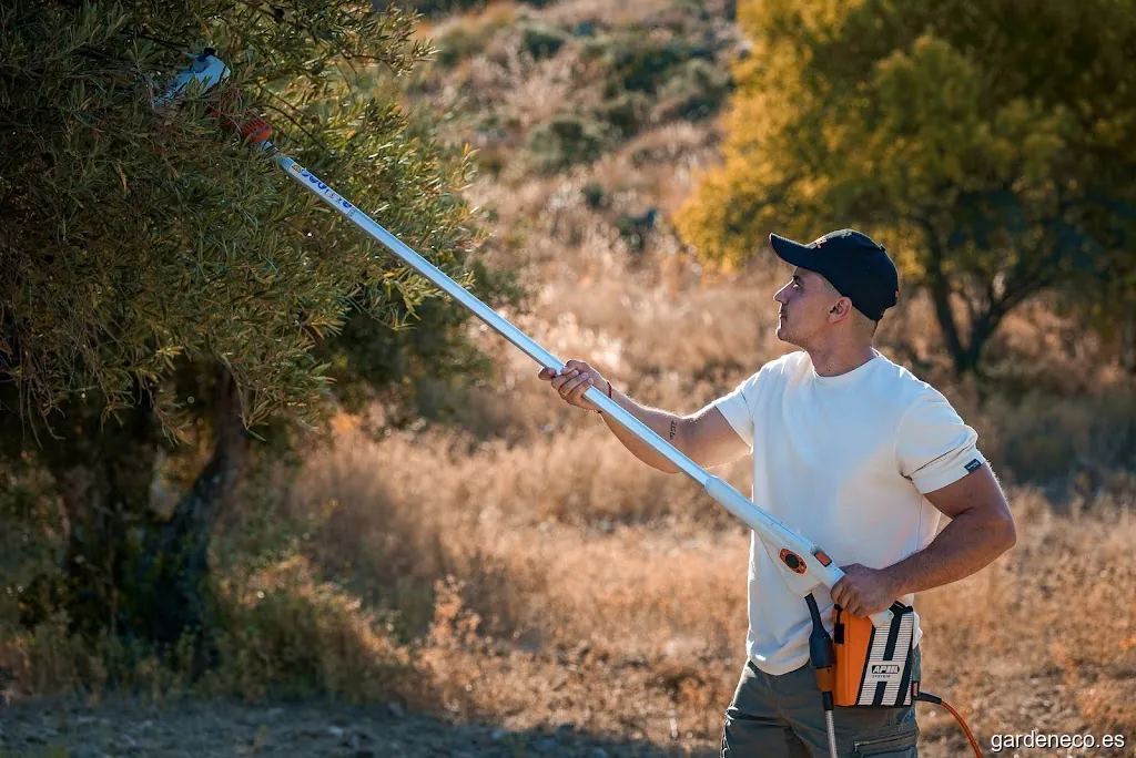 Makermotasa Jaén - tienda Stihl