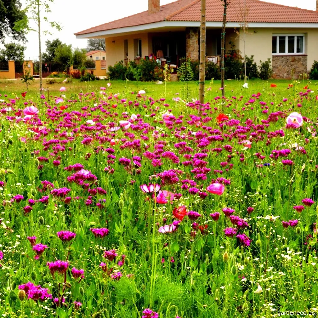 Jardinería Ecológica Maderas Vivas