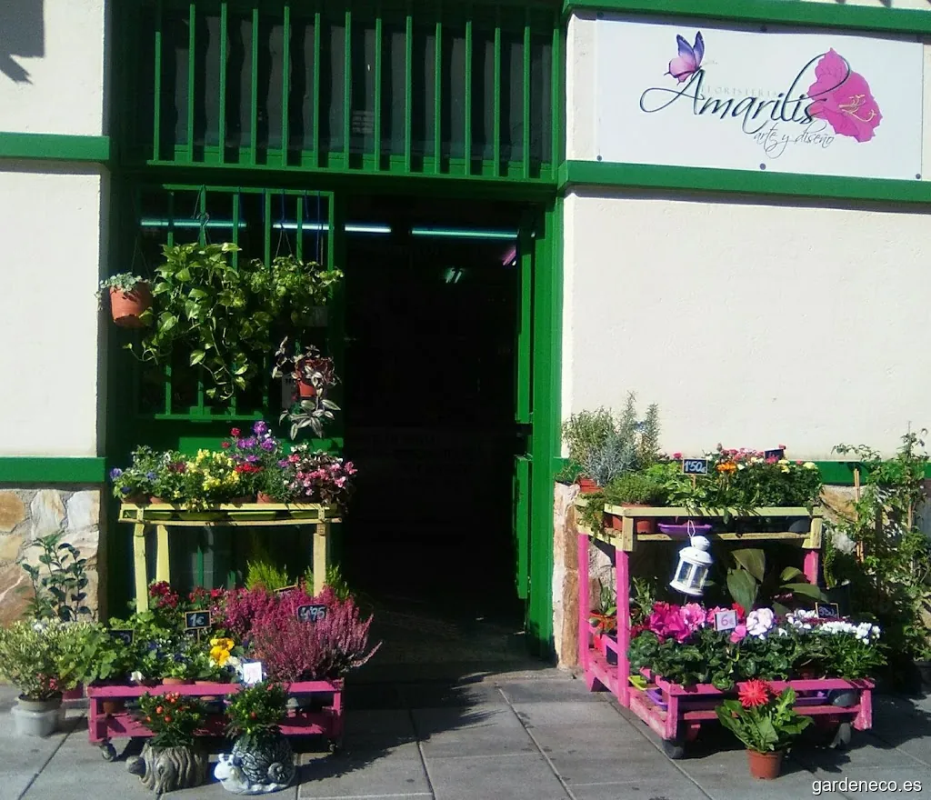 Amarilis Arte y Diseño