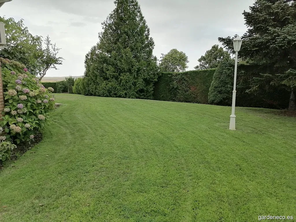 Bella Jardinería - Iván Mateos