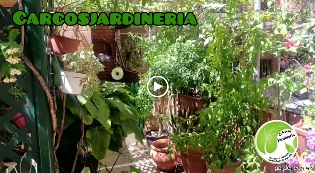 C.Arcos Jardinería