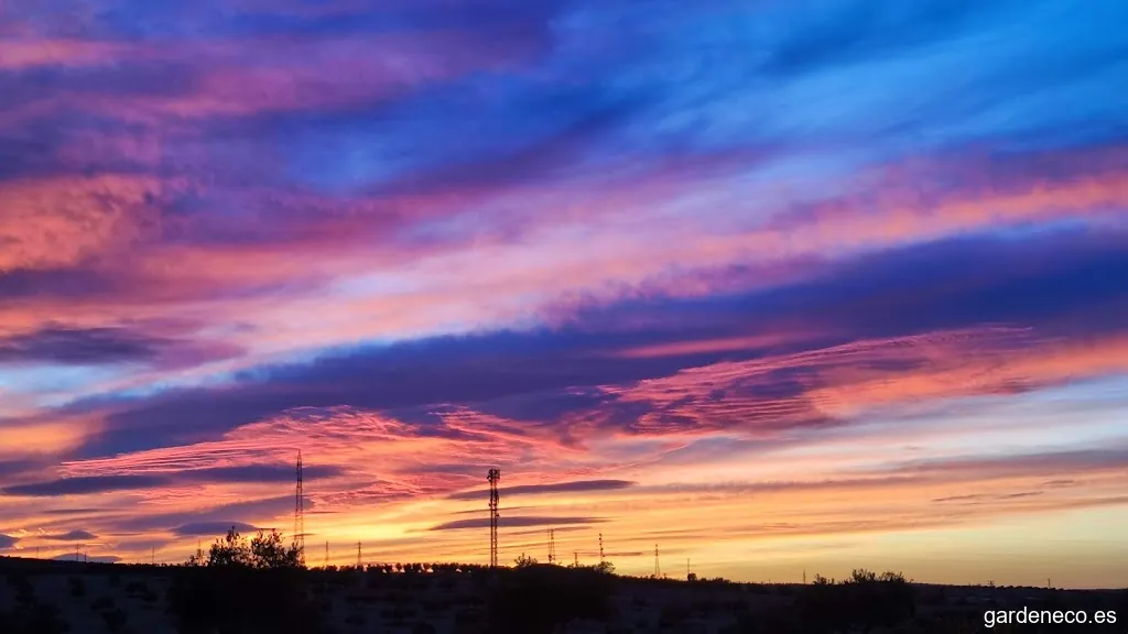 Descampado puesta de sol