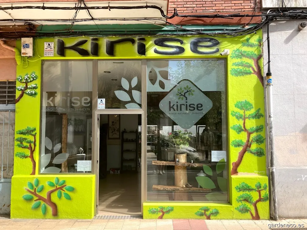 Kirise · Bonsái Valladolid