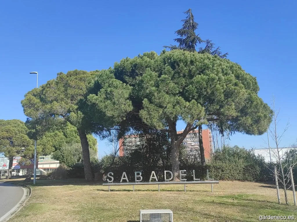Plaza Martínez de la Rosa, 20