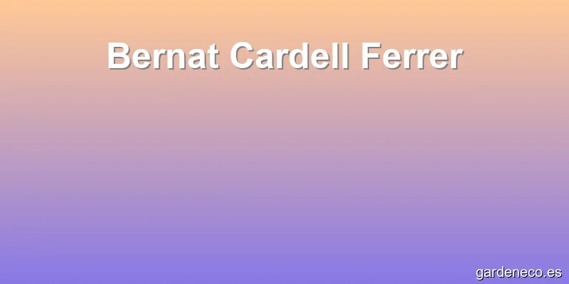 Bernat Cardell Ferrer