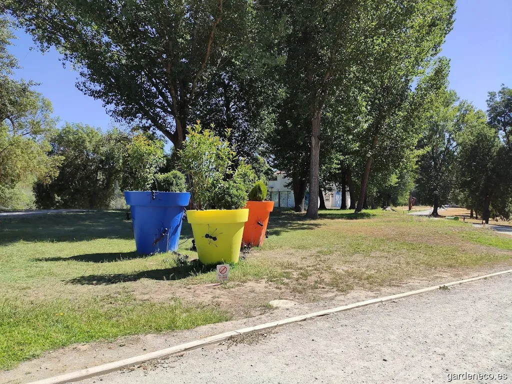 Macetas de colores gigantes con hormigas
