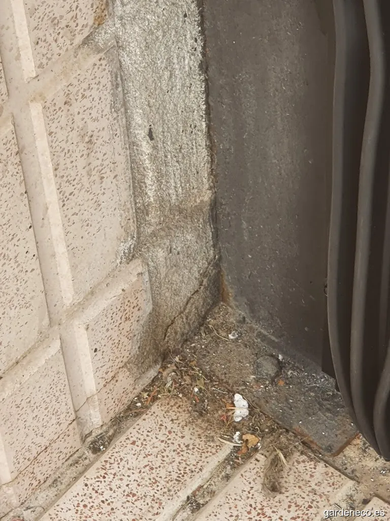 Jardinería Javier Castán