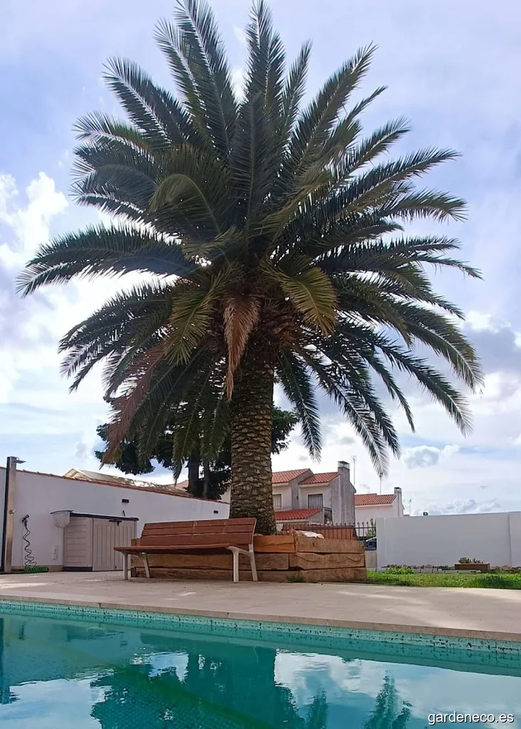 Trepamos Arboricultura