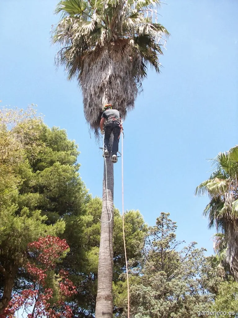 Servicios de jardinería Benalmádena BIZNAGARDEN
