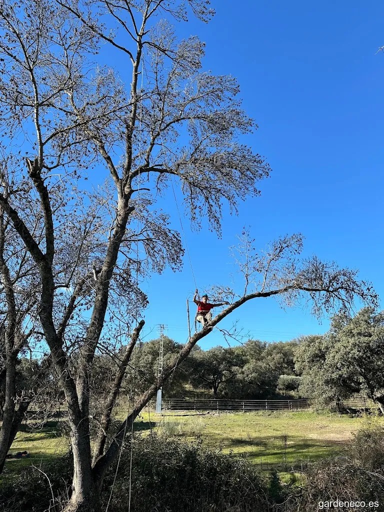 Jardinero Sopelana-Javier Rodríguez
