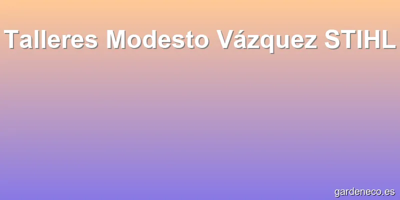 Talleres Modesto Vázquez STIHL