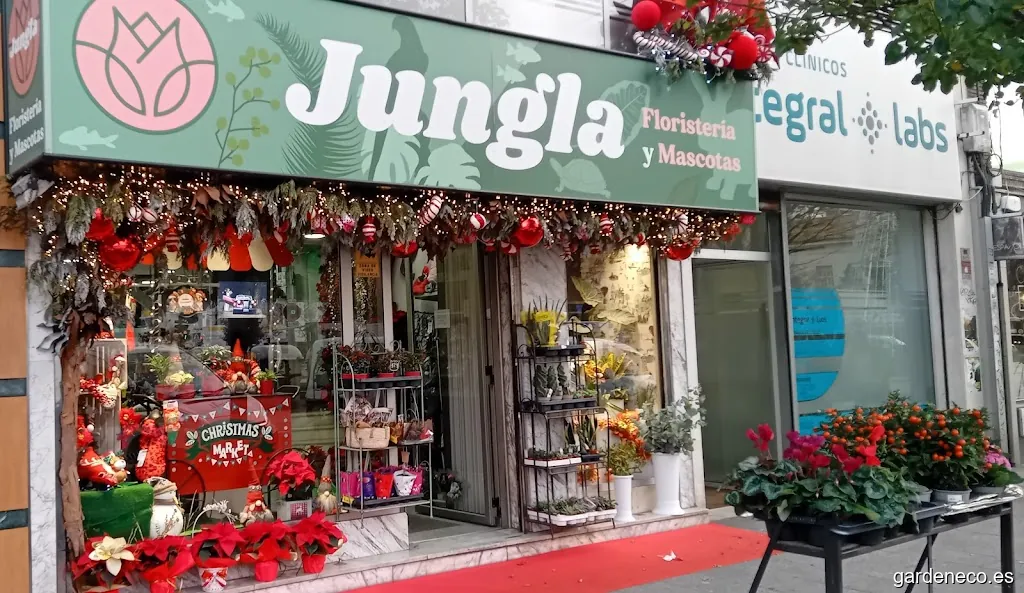 Floristería Mascotas Jungla