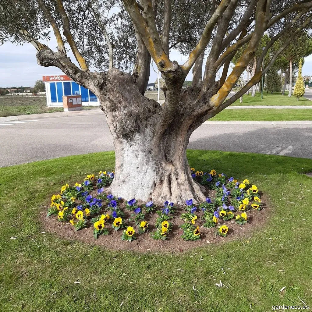 Meseta Verde Jardinería S.L.