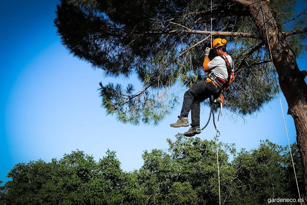 Podas y Desbroces Pistolo