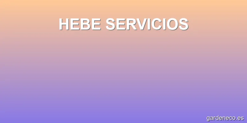 HEBE SERVICIOS