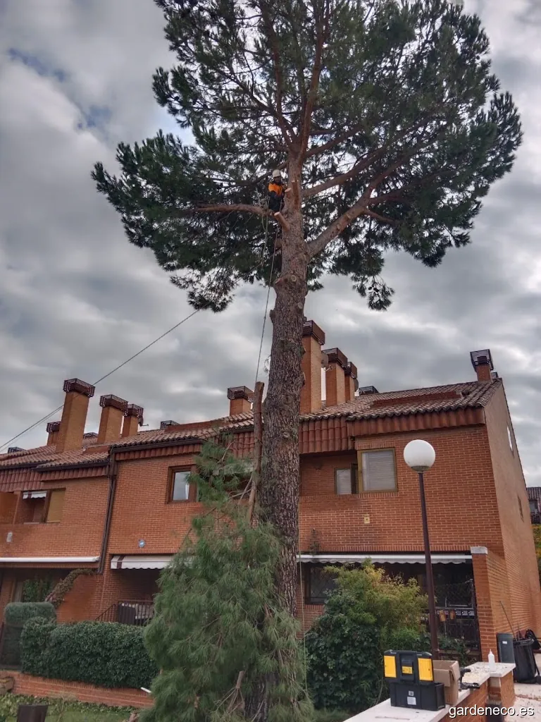 Jardinería y Servicios Integrales