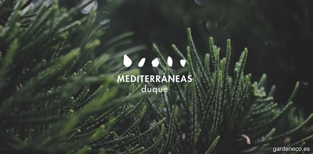 Mediterráneas Duque