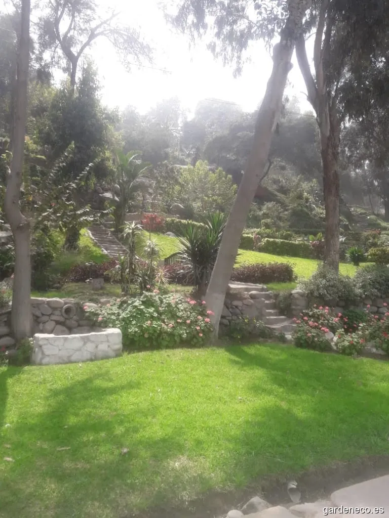 Jardinería Miraflores