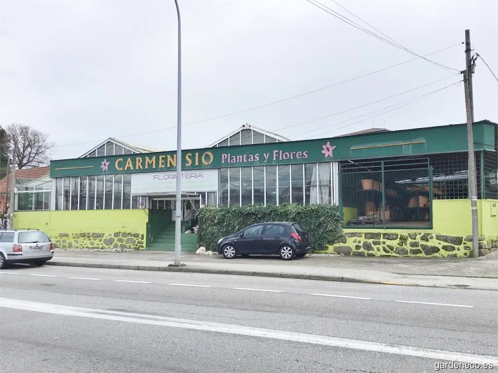 Floristería Carmen Sío