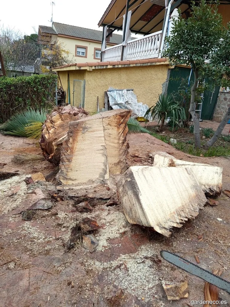 JJ LOPEZ JARDINERIA Y PAISAJISMO | MADRID