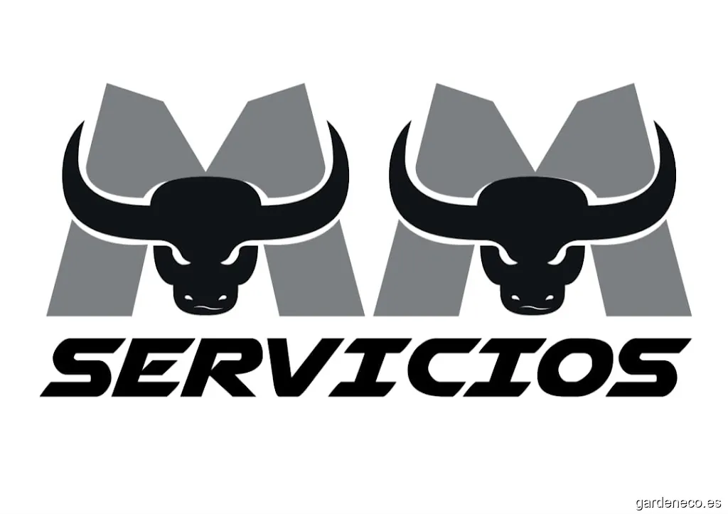 MM Servicios