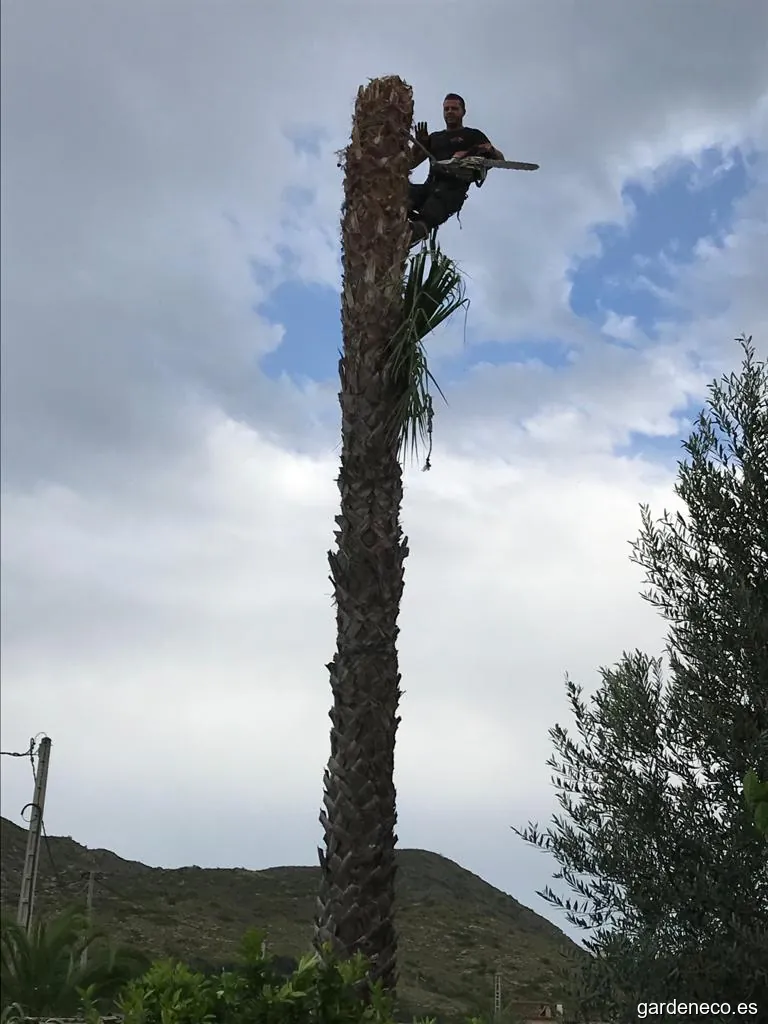 eldatilero.podaytala