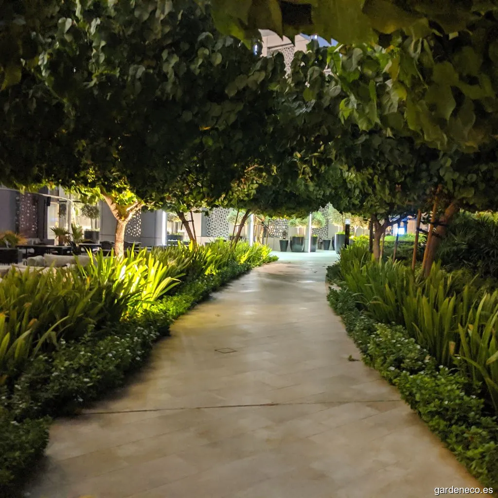 Jardin y Cesped Burgos