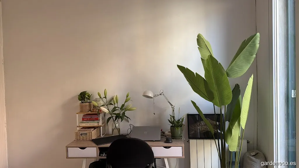 Pur Plant - Plantas Naturales 🌱