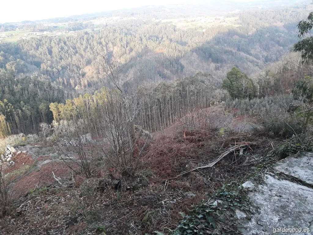 José Luis Méndez Moar