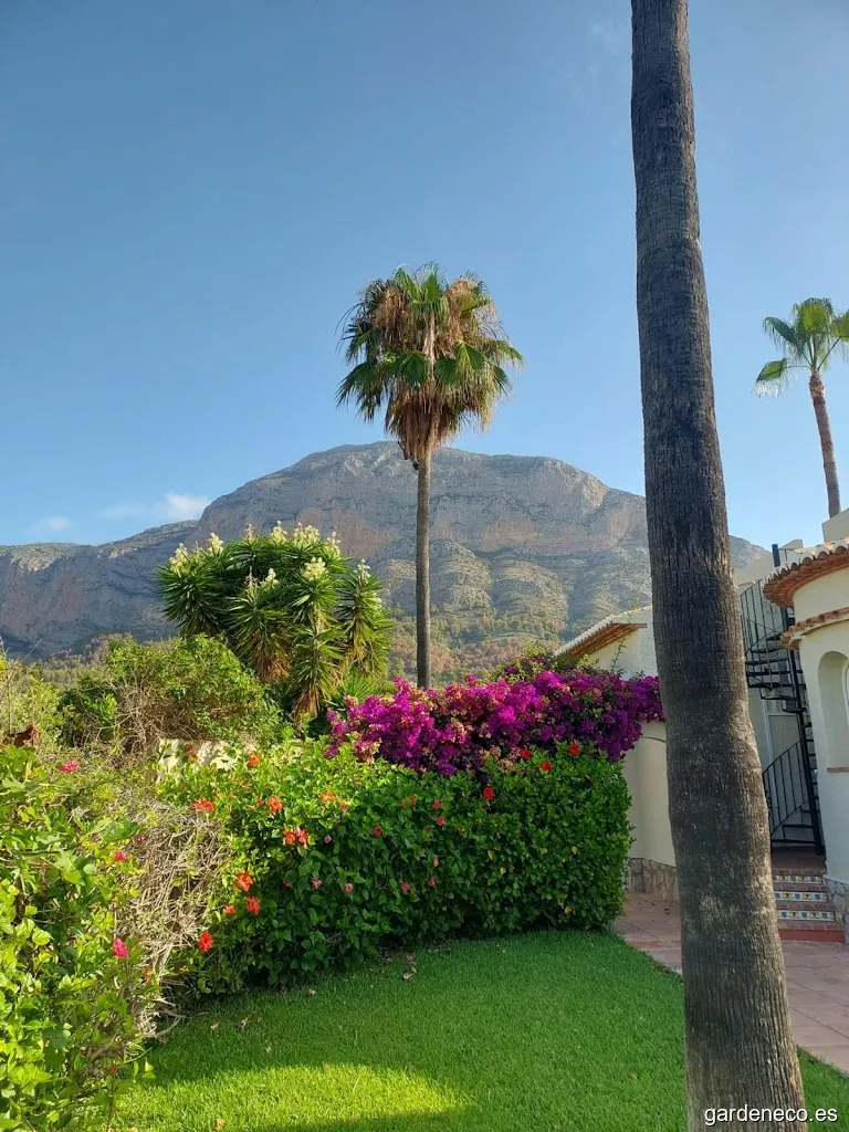 ClearPool and garden service