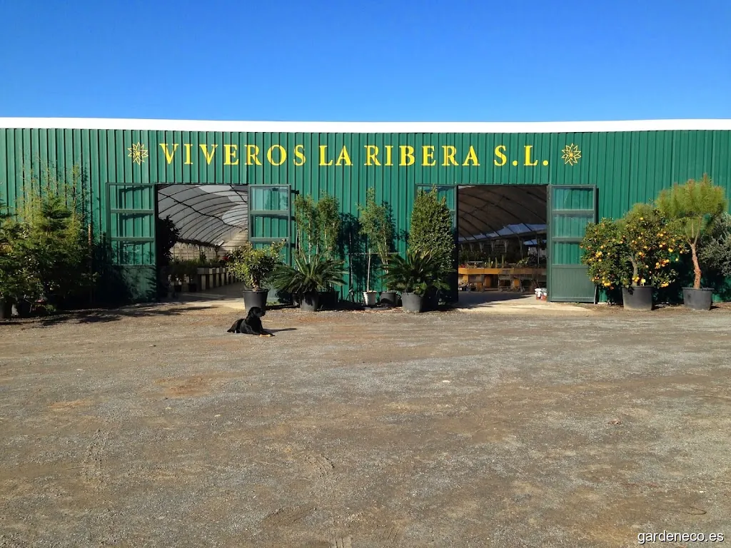 Viveros La Ribera S.L.