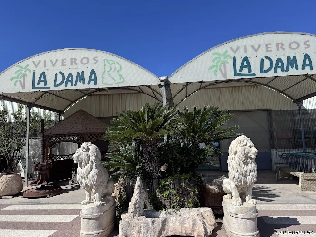 Viveros en Elche la Dama.