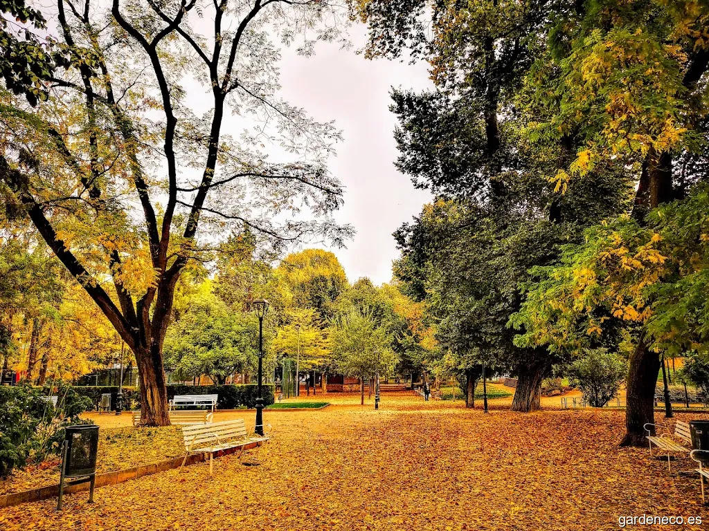 Jardin de los Reyes Catolicos