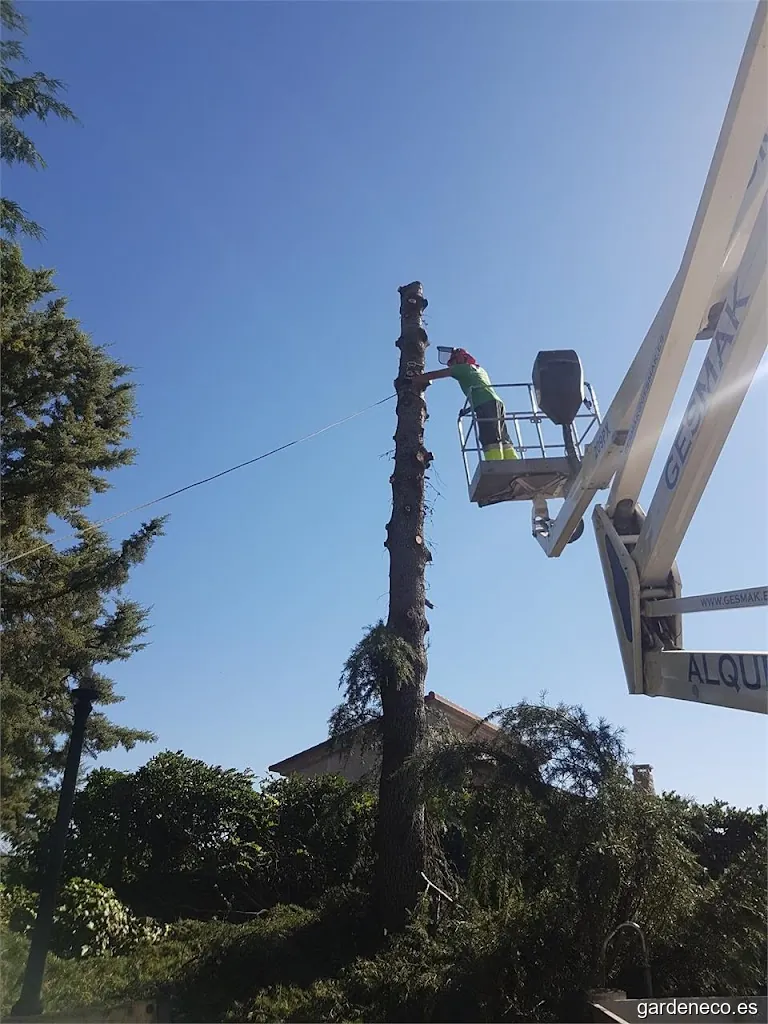 Cotogrande Xardinería