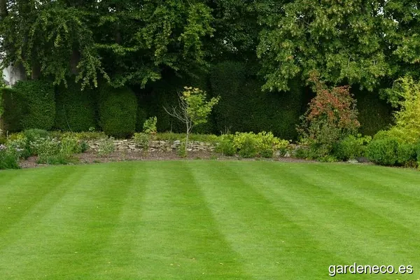 Gen Natura Servicios Jardinería