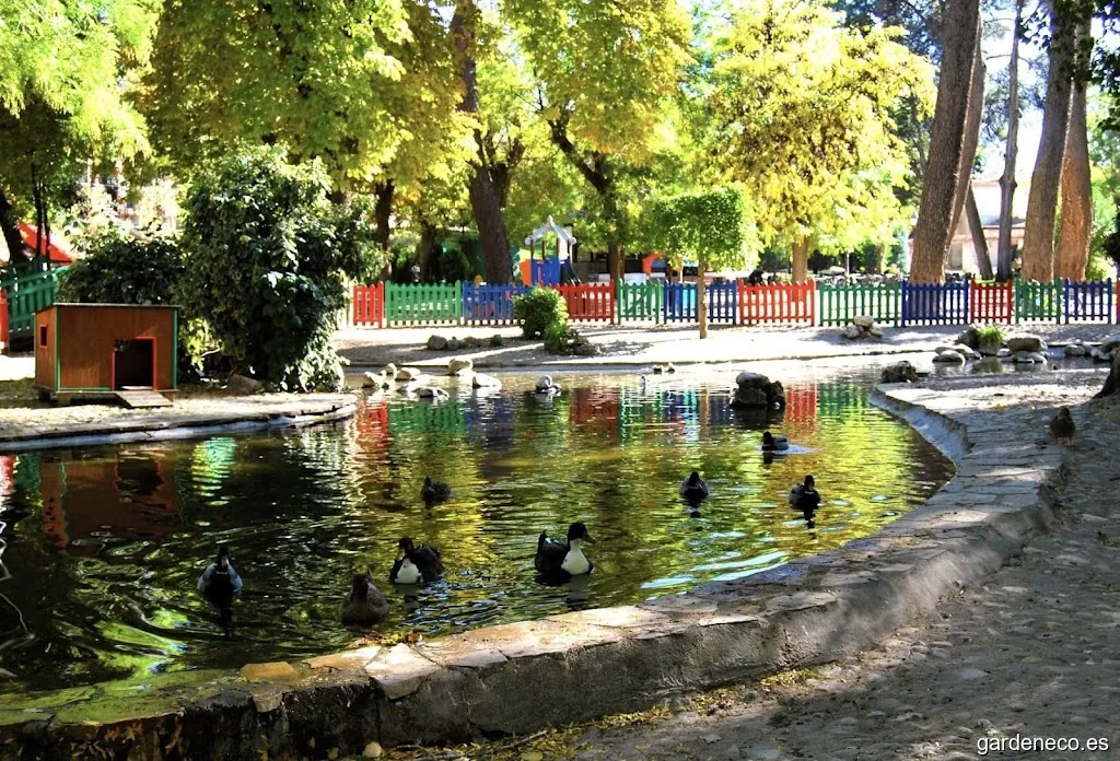 Estanque de patos del Parque de San Roque