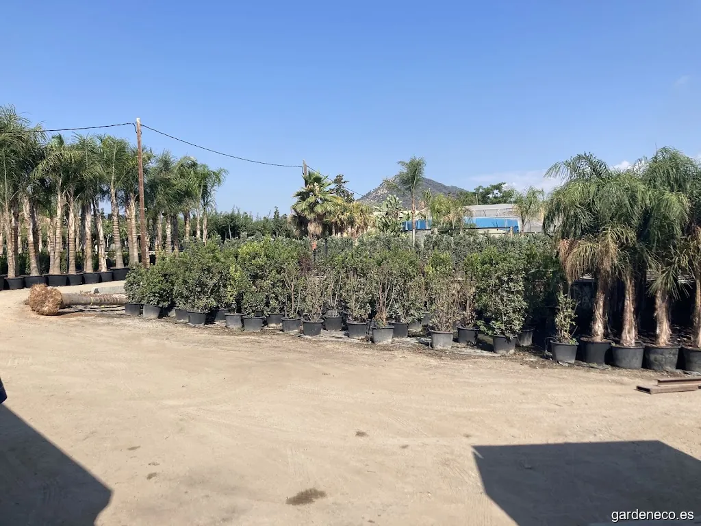 Arribas Center, S.L. - Producción