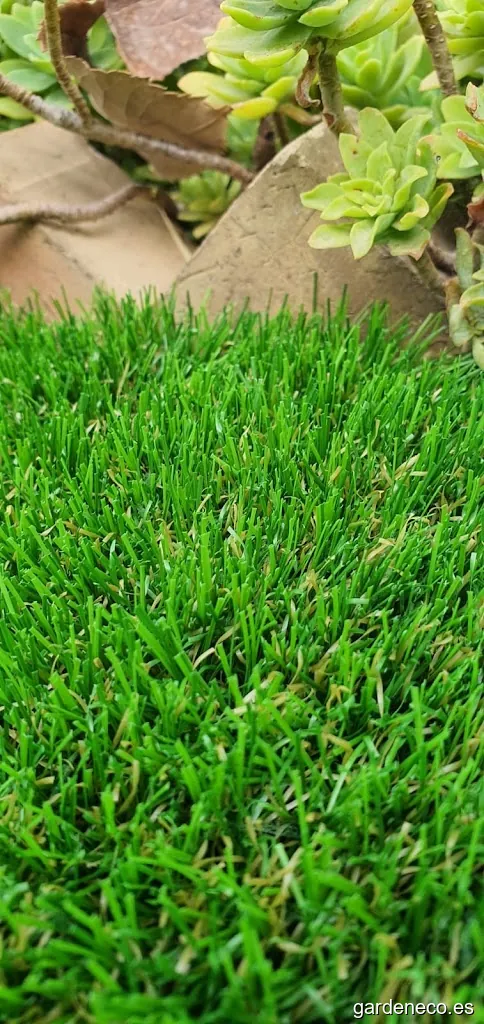 PHI TEAM SPORT, S.L.U.